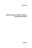 Дипломная 'MPLS transporta profils ar Ethernet pakalpojuma atbalstu', 4.