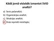 Презентация 'SVID analīze', 23.