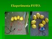 Презентация 'Citrona baterija', 3.