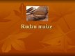 Презентация 'Rudzu maize', 1.