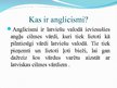 Презентация 'Anglicismi latviešu valodā', 2.