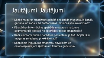 Презентация 'Muguras smadzenes', 15.