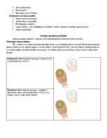 Конспект 'Stomas', 2.