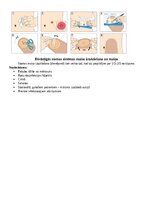 Конспект 'Stomas', 5.