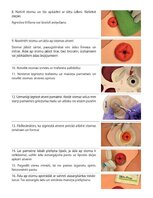 Конспект 'Stomas', 7.