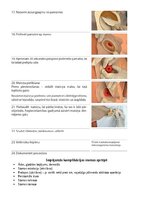 Конспект 'Stomas', 8.