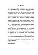 Отчёт по практике 'Grāmatvedības prakses atskaite', 32.