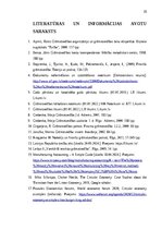 Отчёт по практике 'Grāmatvedības prakses atskaite', 34.