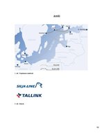 Реферат 'AS "Tallink" uzņēmuma darbības pētījums', 36.