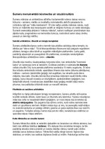 Конспект 'Šumeru vēsture, kultūra, mitoloģija, sabiedrība un kultūras mantojums', 8.