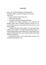 Дипломная 'SIA "Autoserviss" gada pārskats un tā sastāvdaļu analīze', 5.