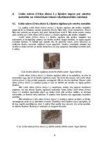 Реферат 'Lielās nātres (Urtica dioica L.) šķiedru pielietojums tautas medicīnā un tekstil', 8.