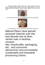 Реферат 'Lielās nātres (Urtica dioica L.) šķiedru pielietojums tautas medicīnā un tekstil', 9.