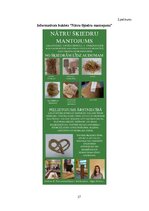 Реферат 'Lielās nātres (Urtica dioica L.) šķiedru pielietojums tautas medicīnā un tekstil', 27.