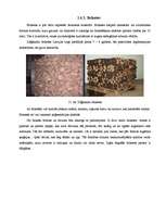 Дипломная 'Biomasas granulu izmantošana apkures iekārtās', 28.