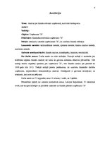 Дипломная 'Анализ финансового состояния предприятия по производству биотоплива', 4.