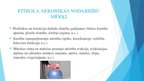 Презентация 'Aerobika ar bumbu. Fitbols', 6.