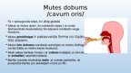 Презентация 'Gremošanas sistēmas orgāni', 3.