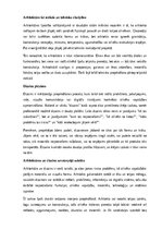 Реферат 'Arhitektūra un dizains', 2.