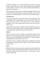 Реферат 'Arhitektūra un dizains', 7.