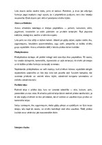 Реферат 'Arhitektūra un dizains', 8.