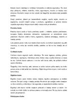 Реферат 'Arhitektūra un dizains', 9.