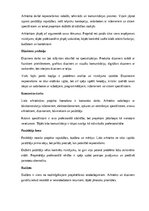 Реферат 'Arhitektūra un dizains', 19.