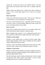 Реферат 'Arhitektūra un dizains', 22.