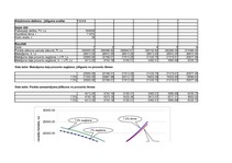 Реферат 'Finanšu aprēķinu modelēšana Excel vidē ', 4.