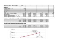 Реферат 'Finanšu aprēķinu modelēšana Excel vidē ', 17.