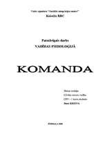 Реферат 'Komanda', 1.