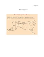 Реферат 'Meža dzīvnieku gaļas izmantošana pārtikas produktu ražošanā un uzturā', 19.