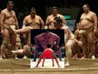 Презентация 'Sumo', 10.