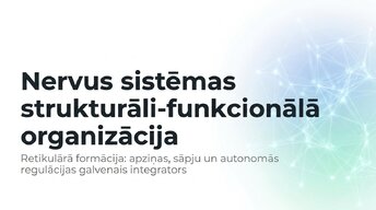 Презентация 'Nervu sistēmas strukturāli - funkcionālā organizācija', 1.