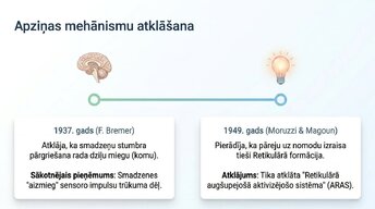Презентация 'Nervu sistēmas strukturāli - funkcionālā organizācija', 4.