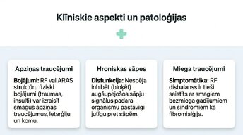 Презентация 'Nervu sistēmas strukturāli - funkcionālā organizācija', 12.