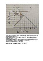 Конспект 'Mājas darbs mikroekonomikā', 29.