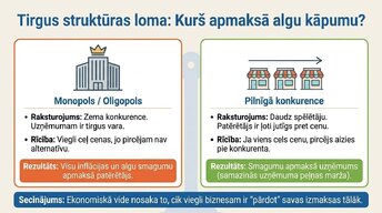 Презентация 'Algu pieauguma un inflācijas saistība', 6.