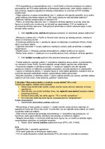 Образец документа 'Audits un revīzija', 4.