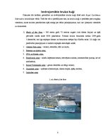 Реферат 'Kruīzu kuģi kā tūrisma sektors, darbības specifika, ievērojamākās kompānijas', 8.