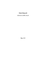 Реферат 'Nikolo Makjavelli literatūras analīze', 1.