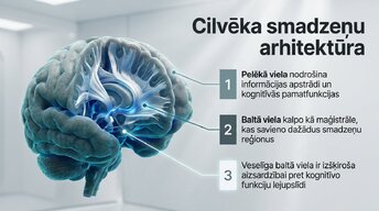 Презентация 'Kāpēc mūžizglītība palīdz uzturēt smadzeņu elastību', 3.