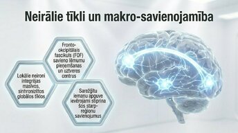 Презентация 'Kāpēc mūžizglītība palīdz uzturēt smadzeņu elastību', 10.