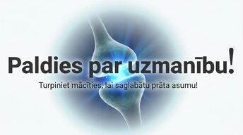Презентация 'Kāpēc mūžizglītība palīdz uzturēt smadzeņu elastību', 16.