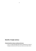 Реферат 'European Single Currency - Euro', 12.