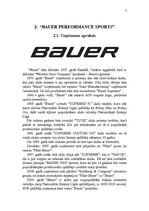 Конспект 'Uzņēmuma "Bauer" hokeja nūju tirgus izpēte', 7.