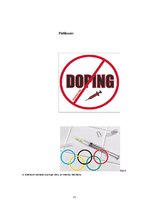 Реферат 'Dopinga ietekme uz sportistu rezultātiem', 22.