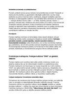 Конспект 'Persiešu vēsture, kultūra, mitoloģija, sabiedrība un kultūras mantojums: konspek', 15.