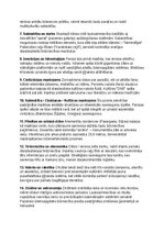 Конспект 'Persiešu vēsture, kultūra, mitoloģija, sabiedrība un kultūras mantojums: konspek', 44.