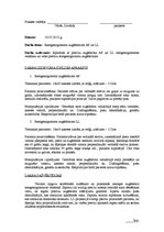 Отчёт по практике 'Radiologa asistenta prakses dienasgrāmata', 12.